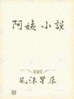 阿姨 小说