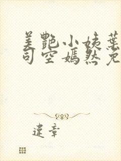 美艳小姨叶凡,司空嫣然免费阅读