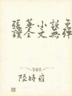 张华小说免费阅读全文无弹窗封面