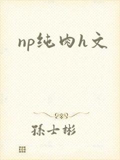 np纯肉h文