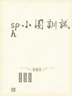 sp小圈训诫文h