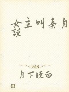 女主叫秦月的小说封面