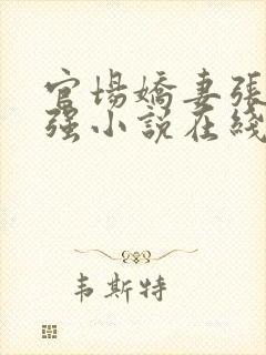 官场娇妻张梅高强小说在线阅读封面