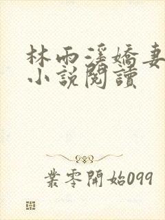 林雨溪娇妻迷途小说阅读