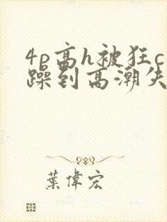 4p高h被狂c躁到高潮失禁网址