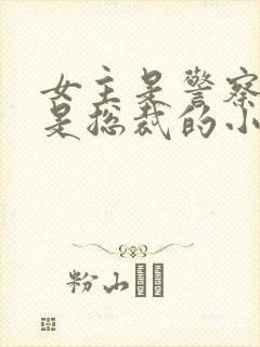 女主是警察男主是总裁的小说