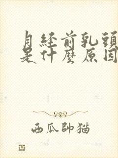 月经前乳头胀痛是什么原因