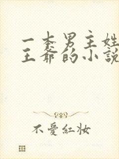 一本男主姓萧是王爷的小说封面