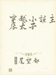 穿越小说主角李辰太子