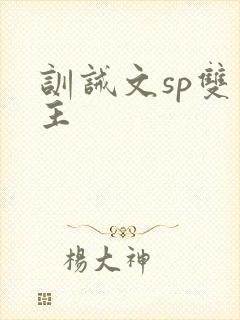 训诫文sp双男主