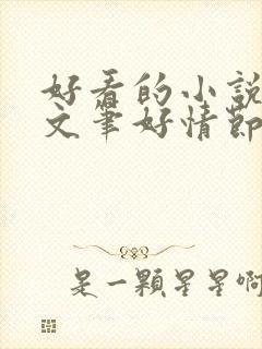 好看的小说推荐文笔好情节好