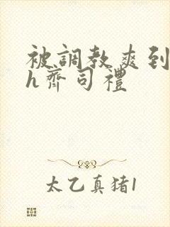 被调教爽到失禁h齐司礼