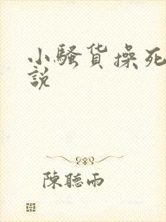 小骚货操死你小说