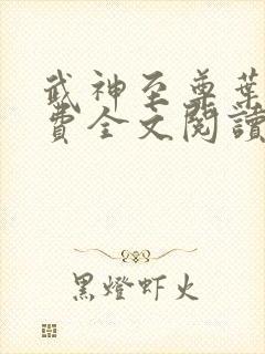 武神至尊叶风免费全文阅读无弹窗