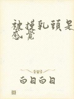 被摸乳头是什么感觉