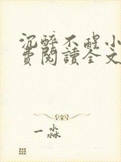 沉醉不醒小说免费阅读全文无弹窗