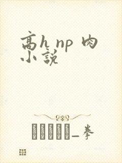 高h np 肉小说