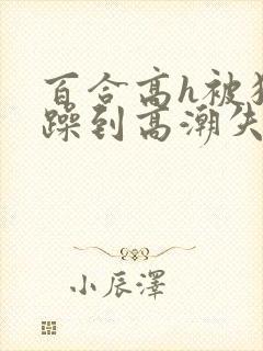 百合高h被狂c躁到高潮失禁女小说