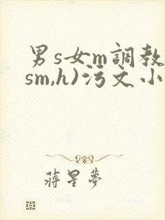 男s女m调教(sm,h)污文小说