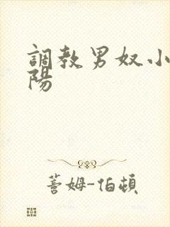 调教男奴小说虐阳封面