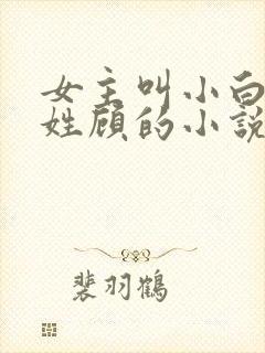 女主叫小白男主姓顾的小说