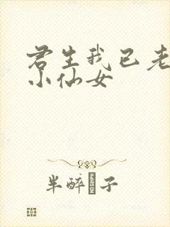 君生我已老有声小仙女