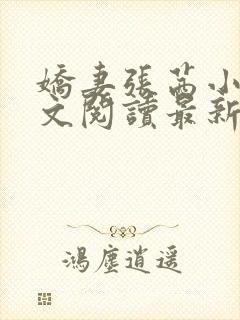 娇妻张茜小说全文阅读最新章节更新