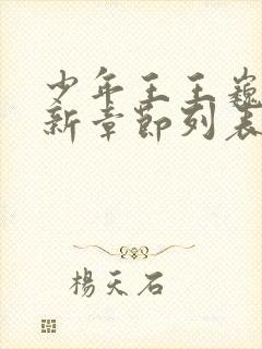 少年王王巍小说新章节列表