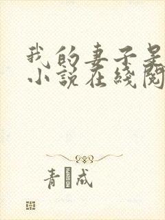 我的妻子是永美小说在线阅读