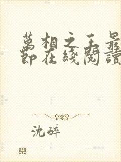 万相之王最新章节在线阅读免费封面