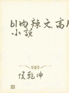 bl肉辣文高h小说封面