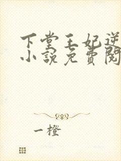 下堂王妃逆袭记小说免费阅读封面