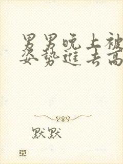 男男晚上被各种姿势进去高潮小说