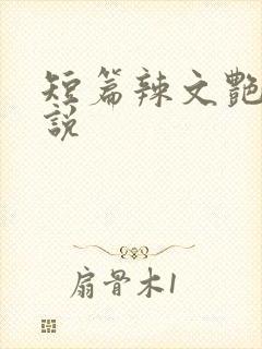 短篇辣文艳情小说