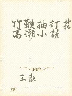 竹鞭抽打花蒂h高潮小说