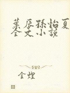 叶辰孙怡夏若雪全文小说封面