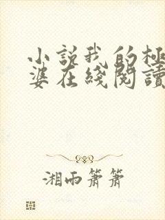 小说我的极品老婆在线阅读封面