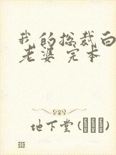 我的总裁白富美老婆 完本