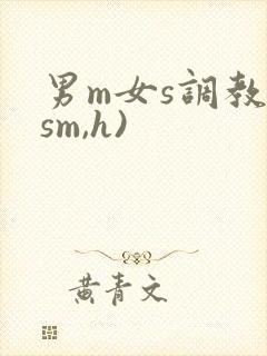 男m女s调教(sm,h)封面
