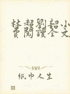 林超刘韶小说免费阅读全文最新章节封面