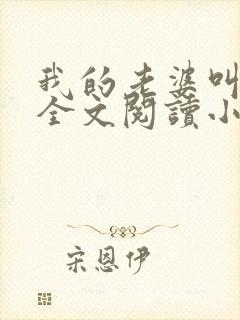 我的老婆叫武艳全文阅读小说