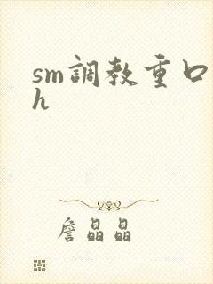 sm调教重口高h封面