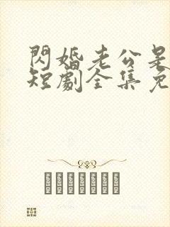 闪婚老公是豪门短剧全集免费观看