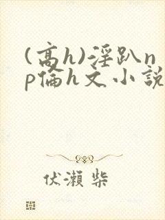 (高h)淫趴np伦h文小说封面