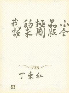 我的极品小姨小说未删版全文免费阅读封面