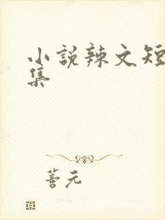 小说辣文短篇合集封面