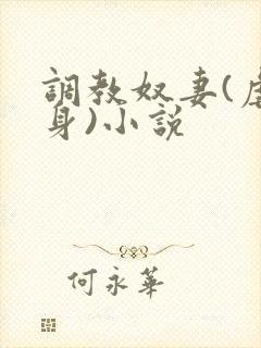 调教奴妻(虐女身)小说