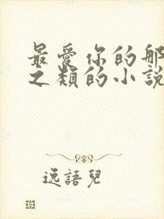最爱你的那十年之类的小说