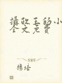 摄政王的小毒妃全文免费