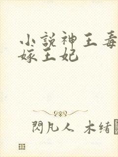 小说神王毒宠二嫁王妃